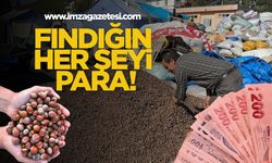 Fındığın Her Şeyi Para!