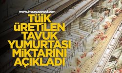 TÜİK, üretilen tavuk yumurtası miktarını açıkladı...