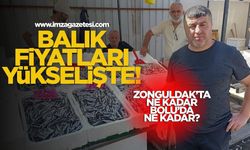 Zonguldak'ta balık fiyatları yükselişte! Zonguldak'ta hamsi ve mezgit ne kadar? Bolu'da ne kadar?
