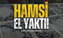 Zonguldak'ta Hamsi El Yaktı!