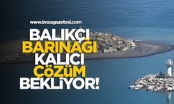 Kozlu Balıkçı Barınağı kalıcı çözüm bekliyor!