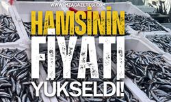 Hamsinin fiyatı yeniden yükseldi