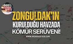 Zonguldak’ın Kurulduğu Havzada Bitkilerin Kömüre Dönüşme Süreçleri!