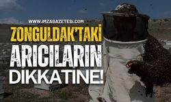 Zonguldak'taki Arıcıların Dikkatine!