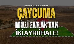 Çaycuma Milli Emlak'tan İki Ayrı İhale!