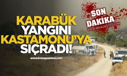 Karabük yangını Kastamonu'ya sıçradı!