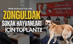 Zonguldak'ta Sokak Hayvanları İçin Toplantı!