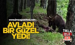 Önce Avladı Sonra Bir Güzel Yedi!