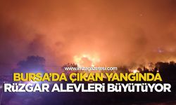 Bursa'da Çıkan Yangında, Rüzgar Alevleri Büyütüyor!