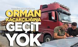 Orman Kaçakçılığına Geçit Yok!