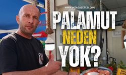 Balıkçılar Palamut İçin Neyi Bekliyor? Ne Zaman Palamut Bollaşacak?