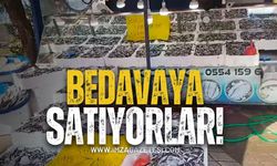 Hamsiyi bedavaya satıyorlar!