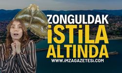 Zonguldak İstila Altında: Vampir Kelebek