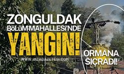 Zonguldak Kilimli'de Yangın: Ormana Sıçradı!