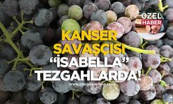 Kanser savaşçısı İsabella tezgahlarda!