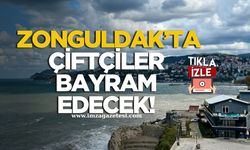Zonguldak’ta imrendiren  doyumsuz manzara!