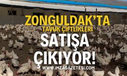 Zonguldak’ta Tavuk Çiftlikleri ve İki Katlı Bina İcradan Satışa Çıkıyor!