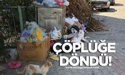 Mahalle çöplüğe döndü! Çocuklar dışarı çıkamıyor!