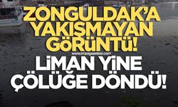 Zonguldak'a yakışmayan görüntü! Liman her zaman ki gibi çöplüğe büründü