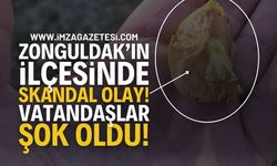 Zonguldak'ın İlçesinde Skandal Olay: Vatandaşlar Şok!