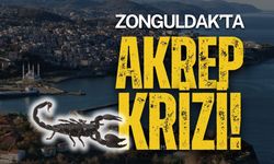 Zonguldak'ta Akrep Krizi: Vatandaş Korkuyor!