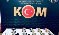 Karabük'te Silah Operasyonu