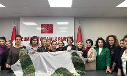 CHP’li Kadınlardan Anlamlı Proje: Zeytin Dalı Tamamlandı