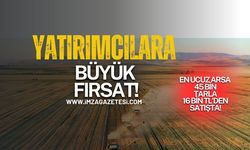 Birçok ilde düşük bedellerle arazi fırsatı... En ucuz arsa 45 bin, tarla 16 bin TL’den satışta!