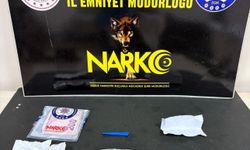 Zehir tacirleri tutuklandı