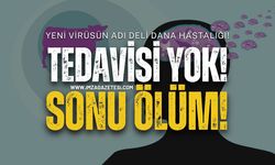 Deli Dana Hastalığı Nedir? Nasıl Bulaşır?