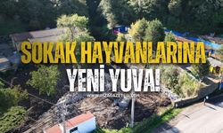 Ereğli’de Sokak Hayvanlarına Yeni Yuva! Barınma Merkezi Büyütülüyor...