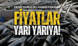 Deniz Duruldu, Hamsi Fışkırdı!  Fiyatlar Yarı Yarıya