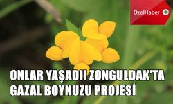 Onlar Yaşadı! Zonguldak’ta Gazal Boynuzu Projesi!
