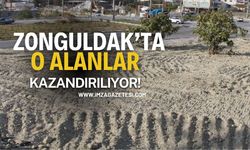 Zonguldak’ta O Alanlar Kazandırılıyor!