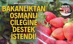 Bakanlıktan Osmanlı Çileğine Destek İstendi!
