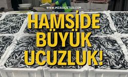 Hamside büyük ucuzluk!