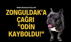 Zonguldak'a Çağrı: "Odin Kayboldu!"