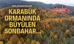 Karabük Ormanında Büyülen Sonbahar...