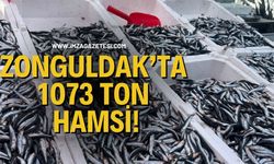 Zonguldak’ta 1073 Ton Hamsi!