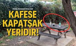Kafese Kapatsak Yeridir!