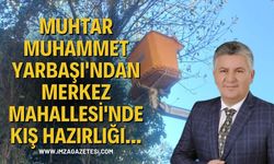 Muhtar Muhammet Yarbaşı'ndan Merkez Mahallesi'nde Kış Hazırlığı...