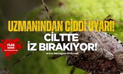 Prof. Dr. Tevfik Özlü'den ciddi tehlike uyarısı! Kahverengi Kokarca Ciltte İz Bırakıyor!