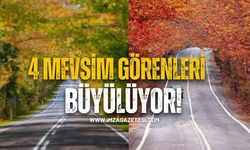 Karabük-Bartın Arasındaki Ağaç Tünelleri Görenleri Büyülüyor...