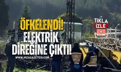 Trafik cezasına öfkelenen sürücü elektrik direğine çıktı!