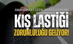 Kış Lastiği Zorunluluğu Geliyor!