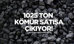 1025 Ton Kömür Açık Artırmada!