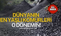 Dünyanın En Yaşlı Kömürleri O Dönemin…!