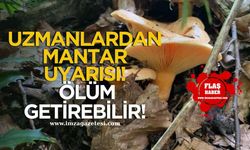 Uzmandan Mantar Uyarısı! “Doğal Değil, Bandrollü Mantar Tüketin”