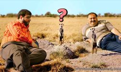 Recep İvedik 6’daki Hayvanlar Gerçek Mi, Sahte Mi?