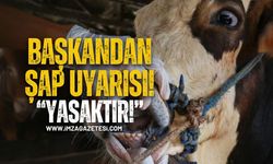 Muhtarlar Derneği Başkanından Şap Hastalığı Uyarısı!